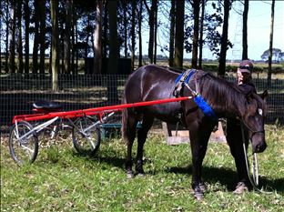 More confidence building for his racing career!