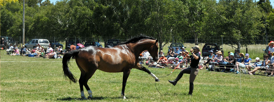 The Chant Ranch